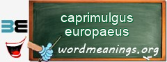 WordMeaning blackboard for caprimulgus europaeus